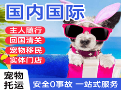 鄂伦春空运地址国际宠物托运 【国